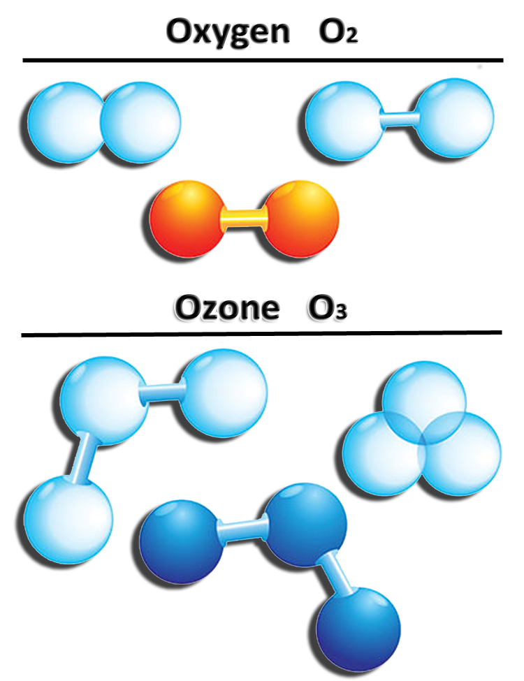 Nevada Ozone 702-577-3490